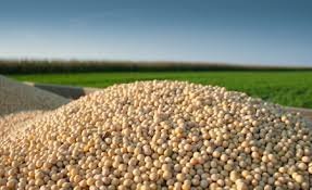 Soybean Yield Contest Information now Available