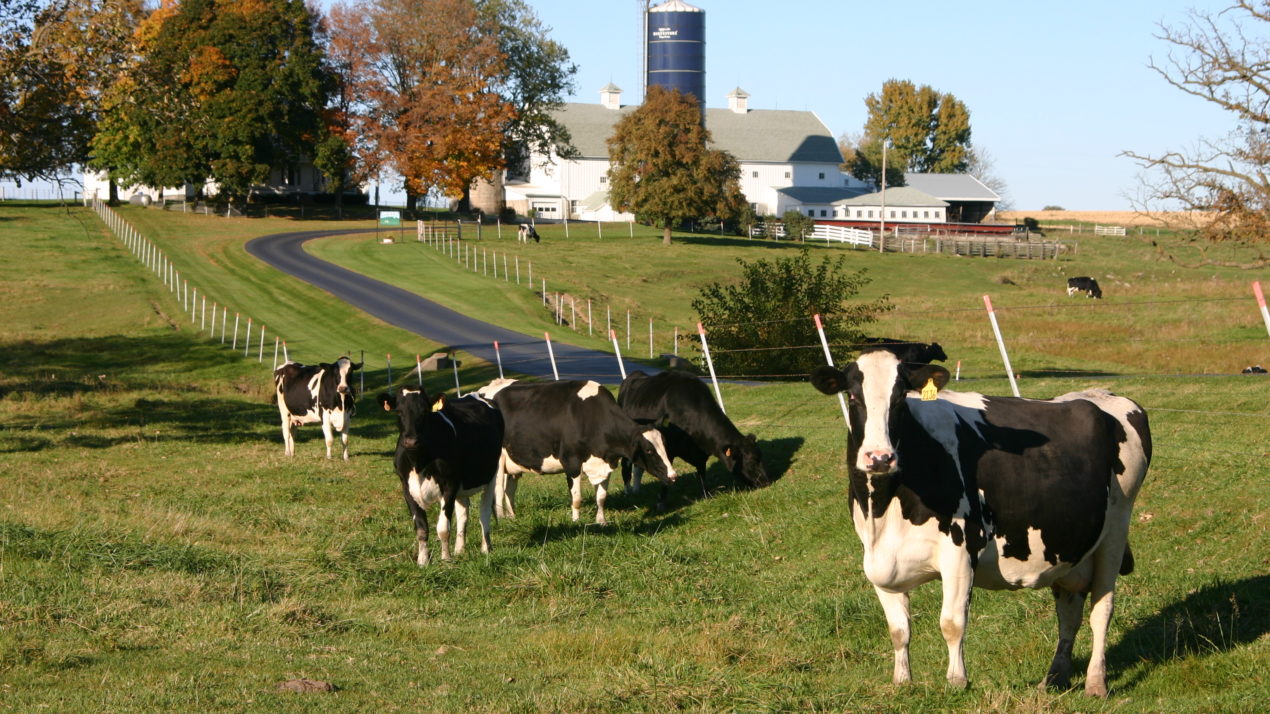 More Time Provided for Dairy Producers to Enroll in DMC Program