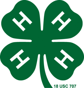 4-H Builds Resumes