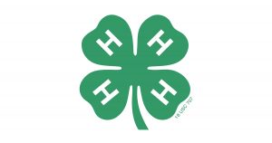 4-H Looking For More Adult Leaders