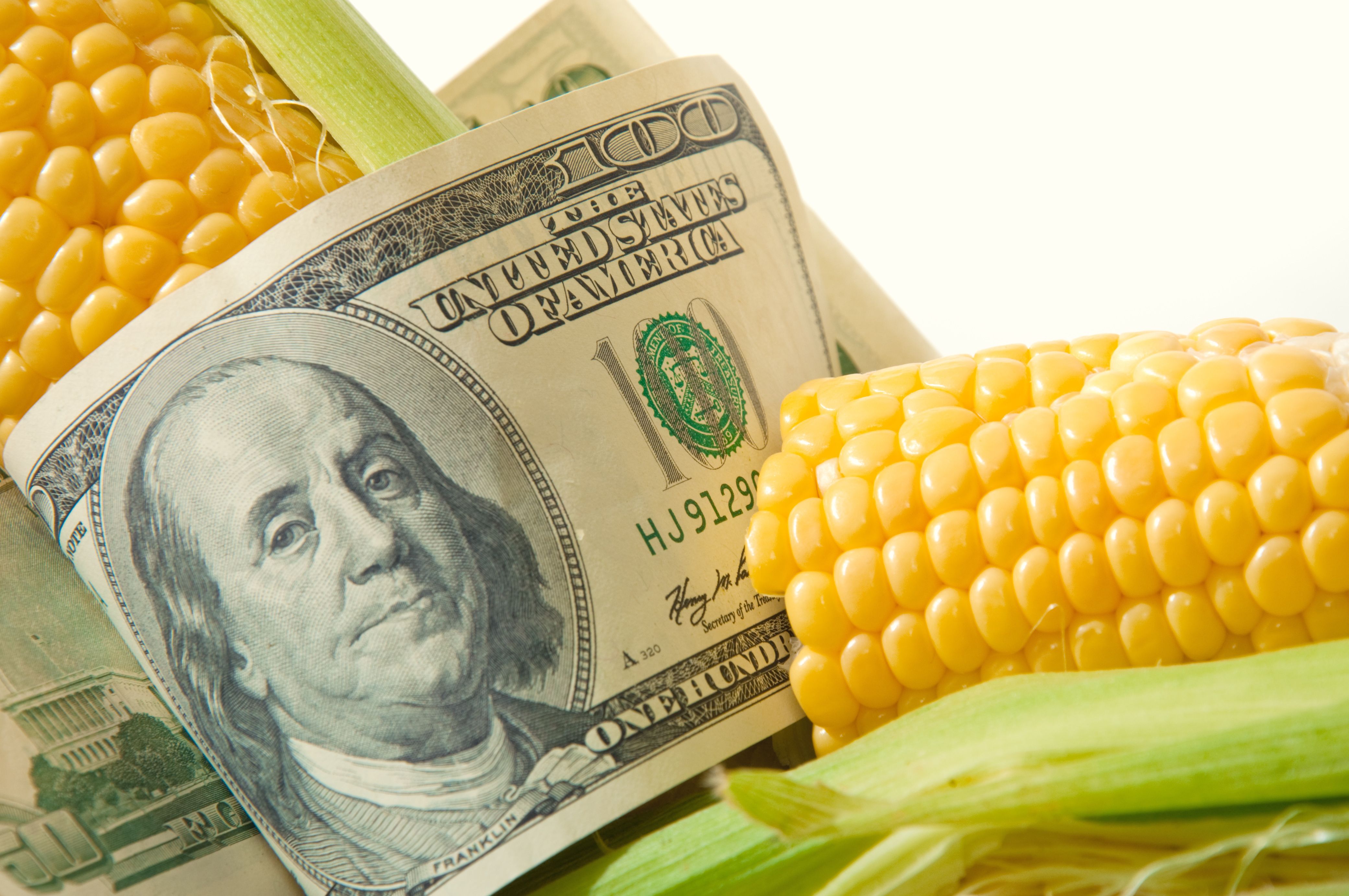 State Corn Grower Yield Results Add Up - Mid-West Farm Report