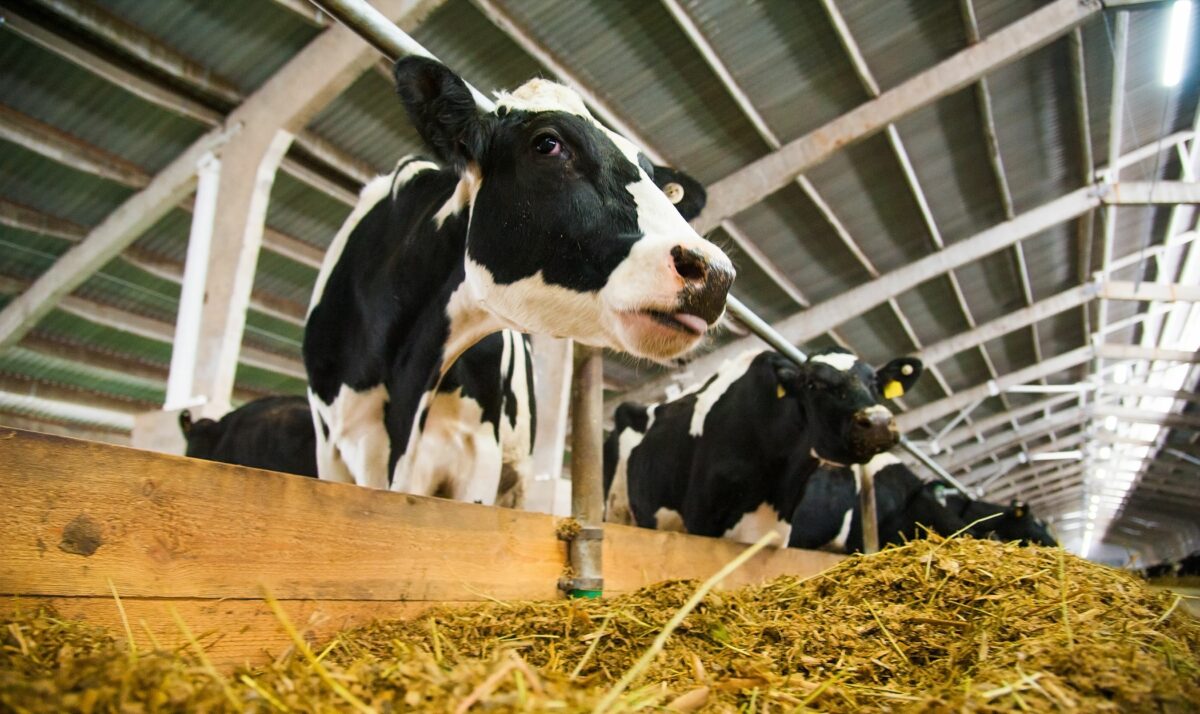 Insight FS Donates $10,000 to Wisconsin Dairy Recovery Program