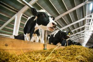 Agriculture continues to lower greenhouse gas emissions