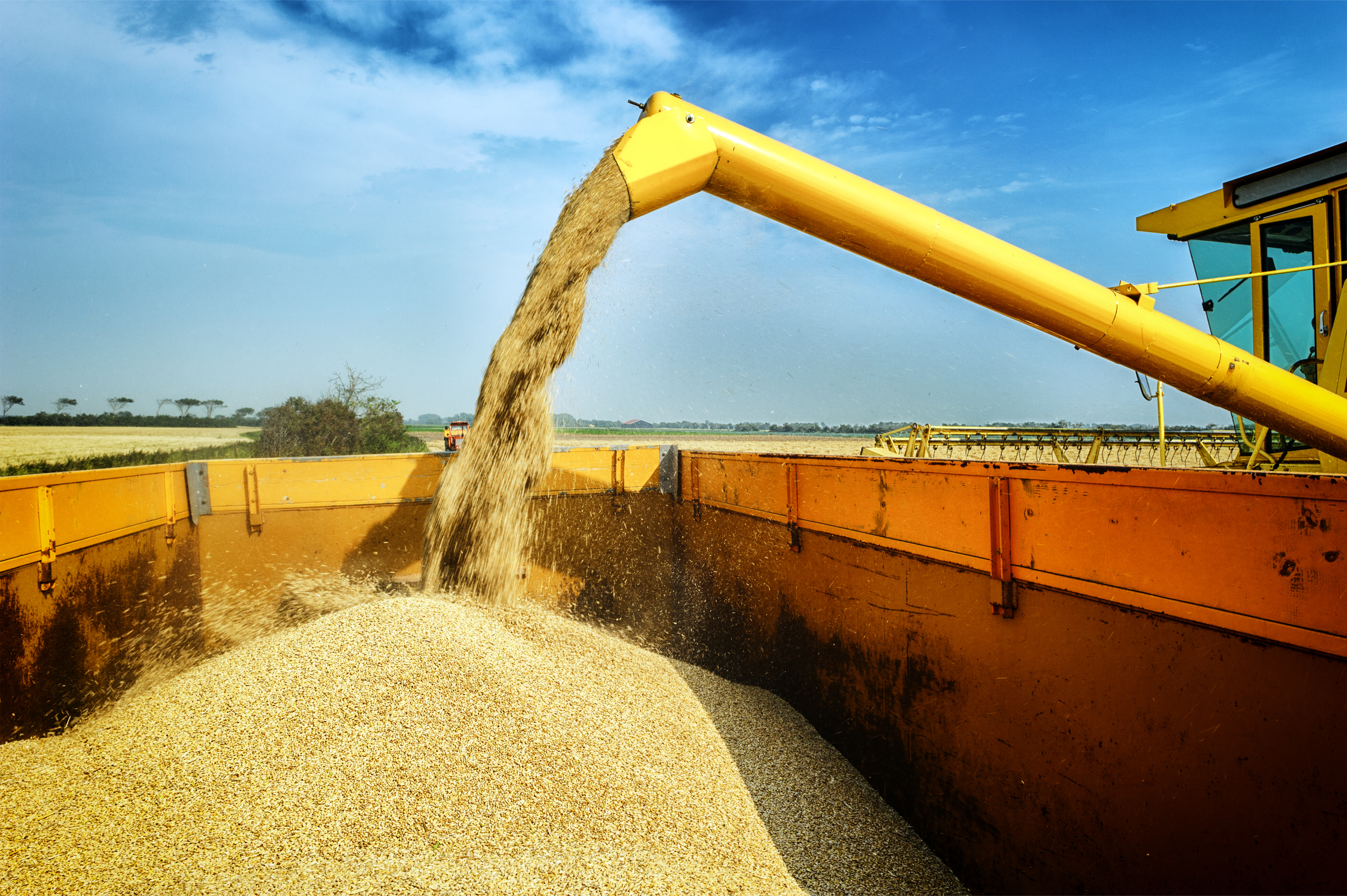 Why a Better Grain Price Might Not Mean a Better Payday for Farmers ...