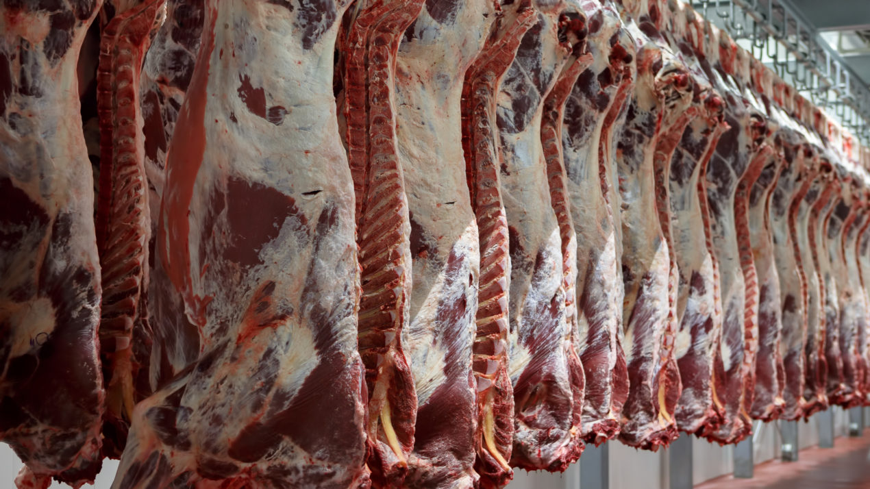 Progress between China and US beef trade
