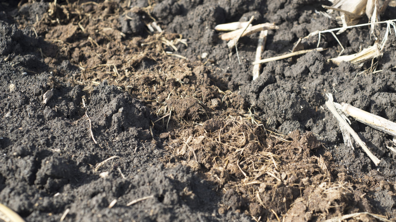 Nice Progress – But More Acres To Go