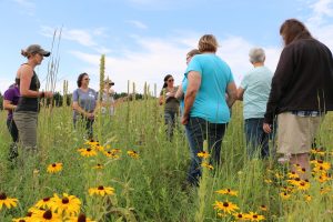 Marbleseed & WiWiC Host Field Day