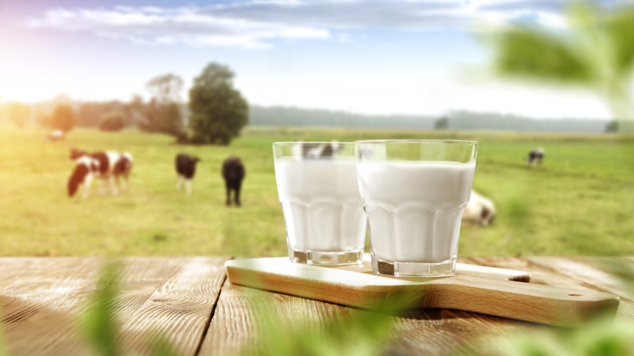 July Brings Increase to Wisconsin Milk Production