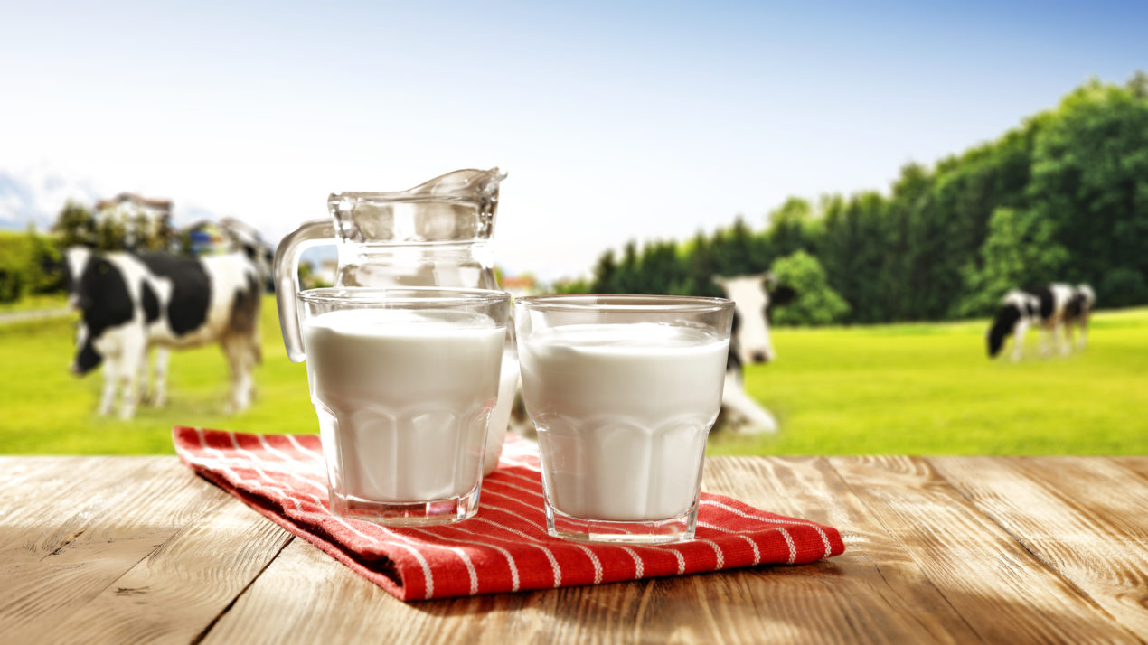 Wisconsin Milk Production Increased