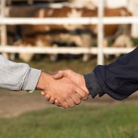 Stop Complainers On The Farm