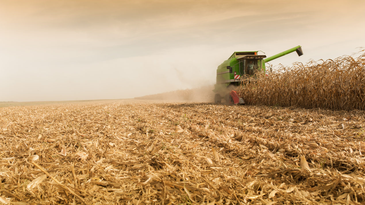 Corn and Soybean Harvest Still Moving Forward