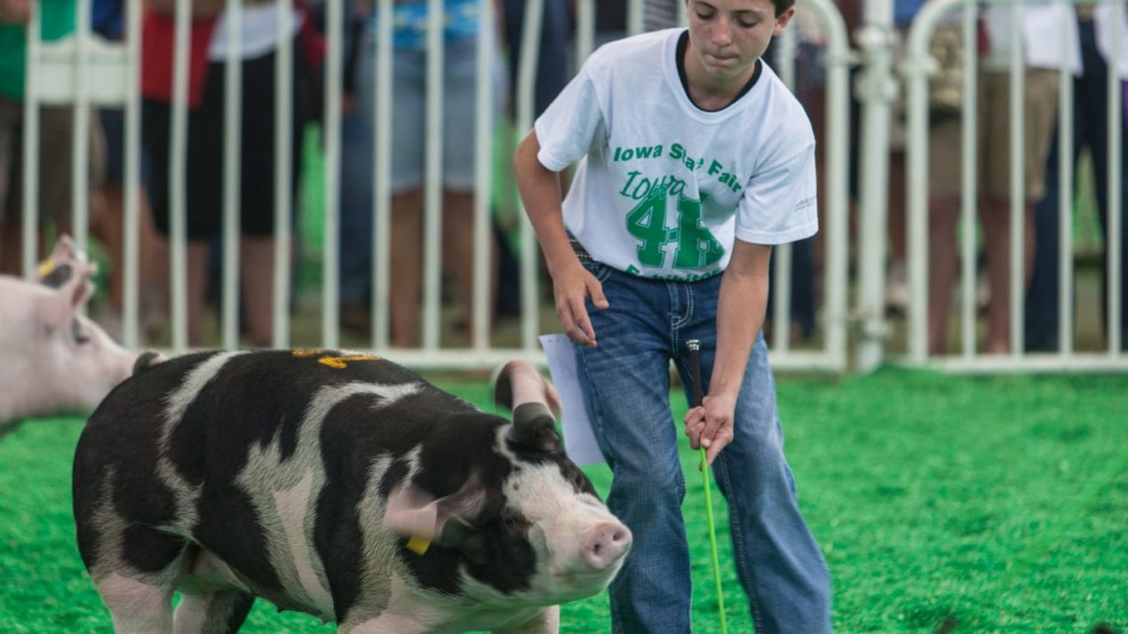 Lafayette County Looks to Move Fairgrounds