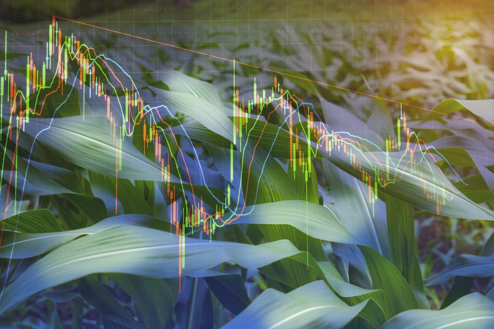 Mixed Trends in Wisconsin Commodity Prices