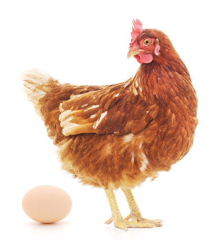 Wisconsin Egg Production Decreased in February