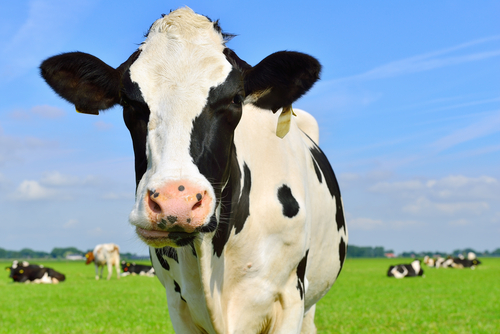 Dairy Task Force 2.0 Members Announced