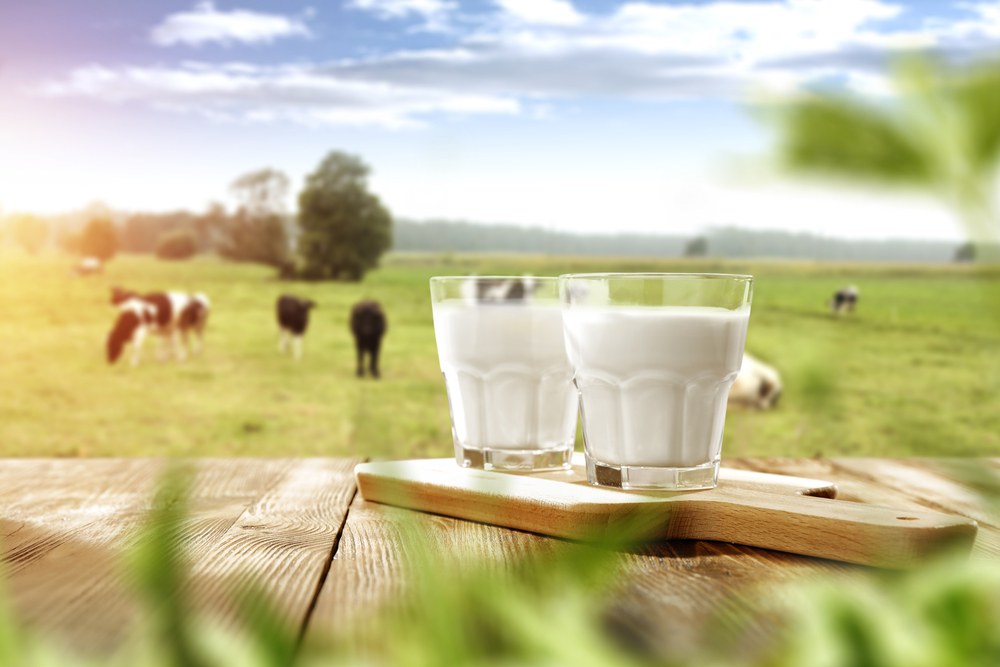Leaders in the Dairy Industry Wanted for Wisconsin Milk Marketing Board