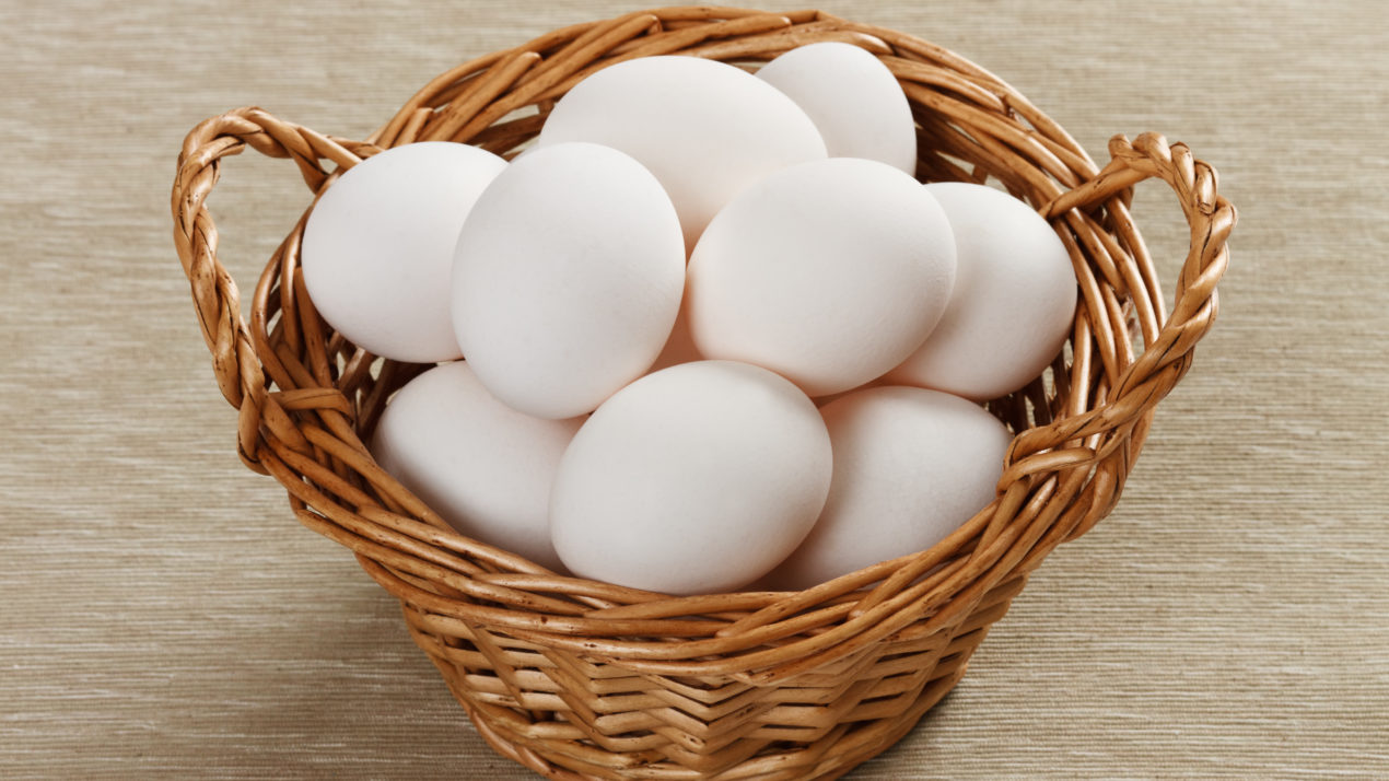 Wisconsin Egg Production Nears 200 Million Eggs