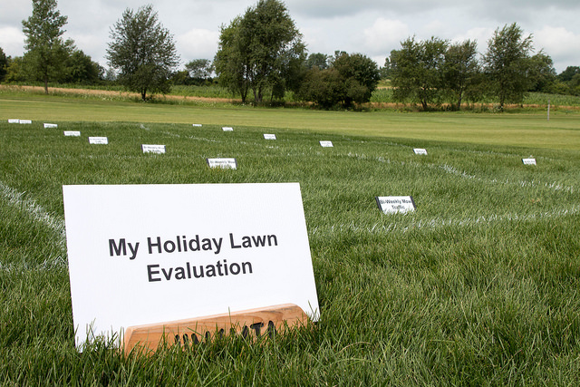 Turfgrass Facility to Host Summer Field Day