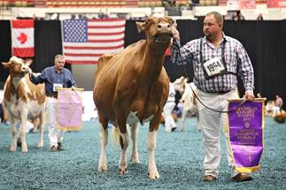 Enter Your Cattle for World Dairy Expo