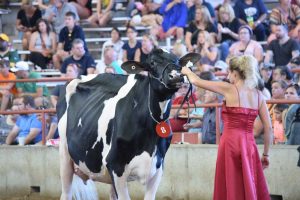 Fond Du Lac Holstein Futurity Gets Sponsor