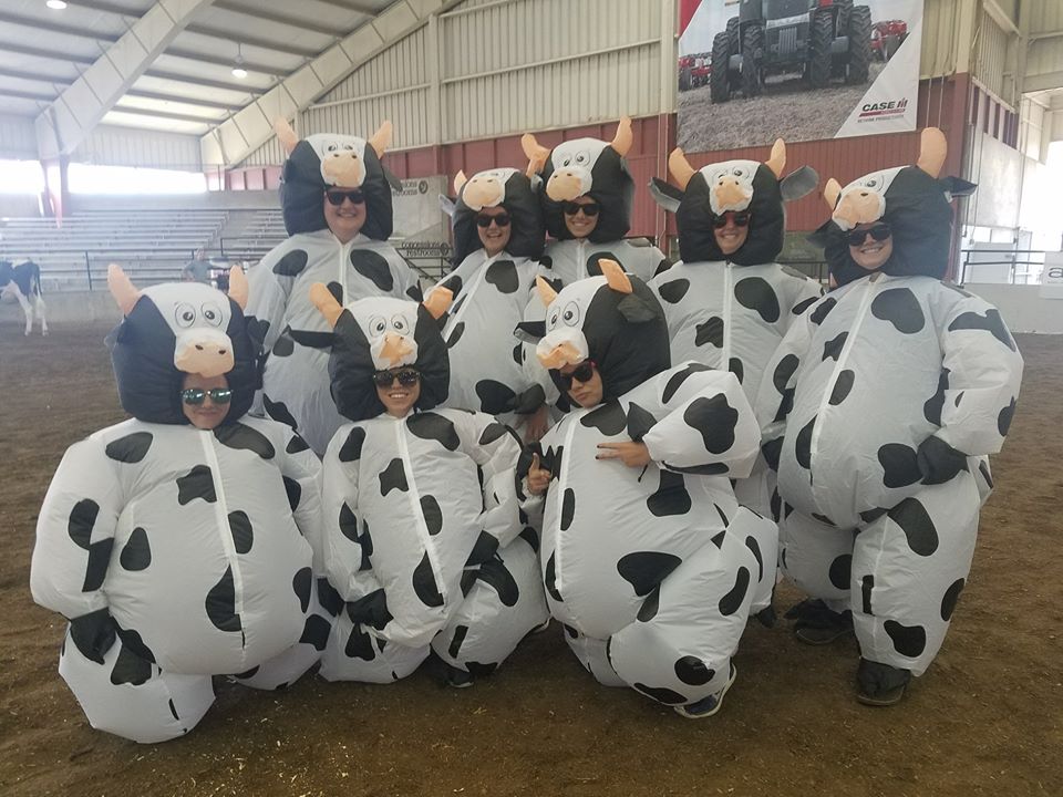 Dairyland Youth Celebration Involves Both MidWest Farm Report