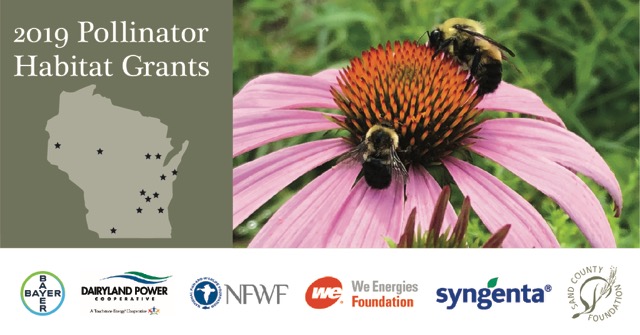 12 Schools Get Pollinator Grants From Sand County Foundation