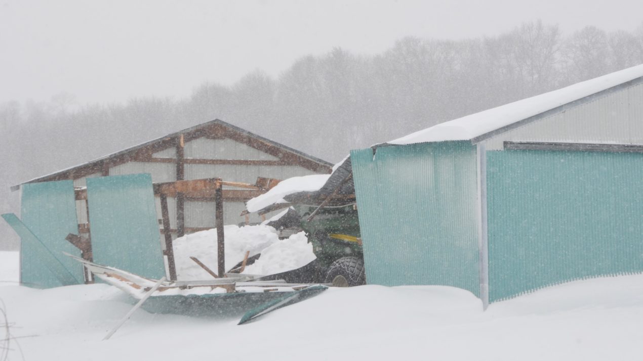 Farms’ barns, sheds collapsing under snow’s weight