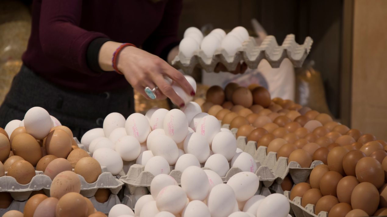 Egg Industry Trying To Recover