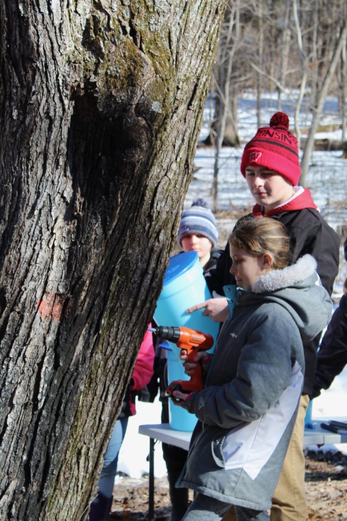Maple Syrup Season Officially Starts In Wisconsin With Proclamation And
