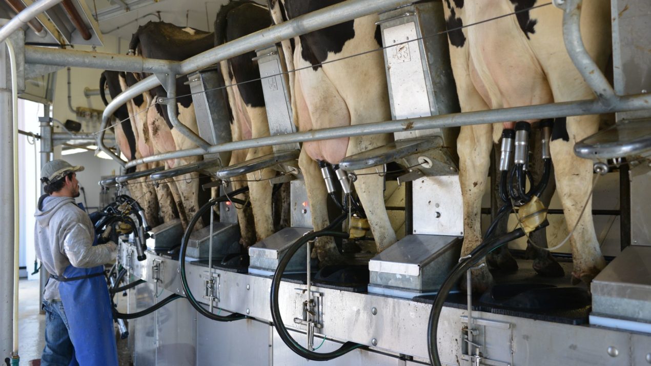 Wisconsin Milk Production Slips Again
