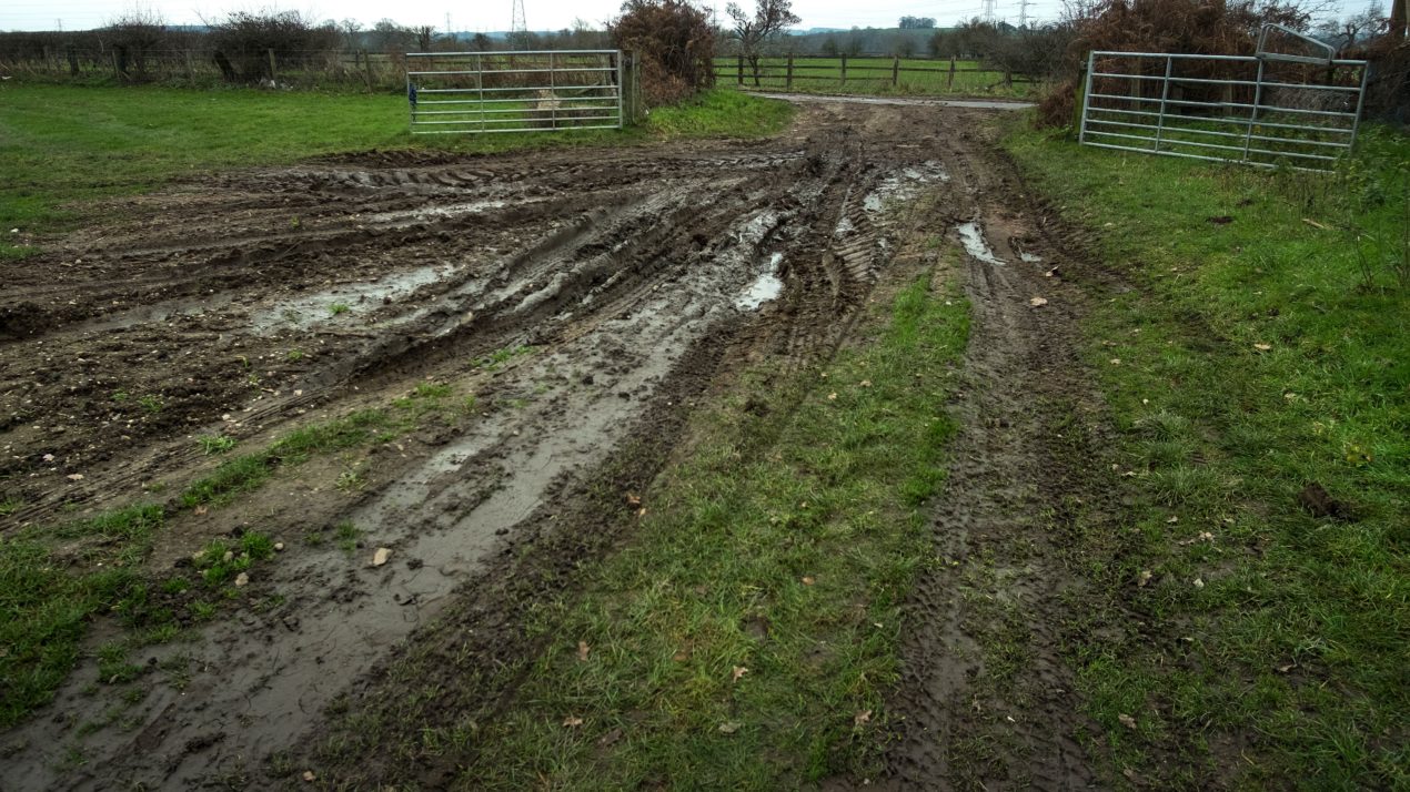 A Holiday Poem From A Farmer