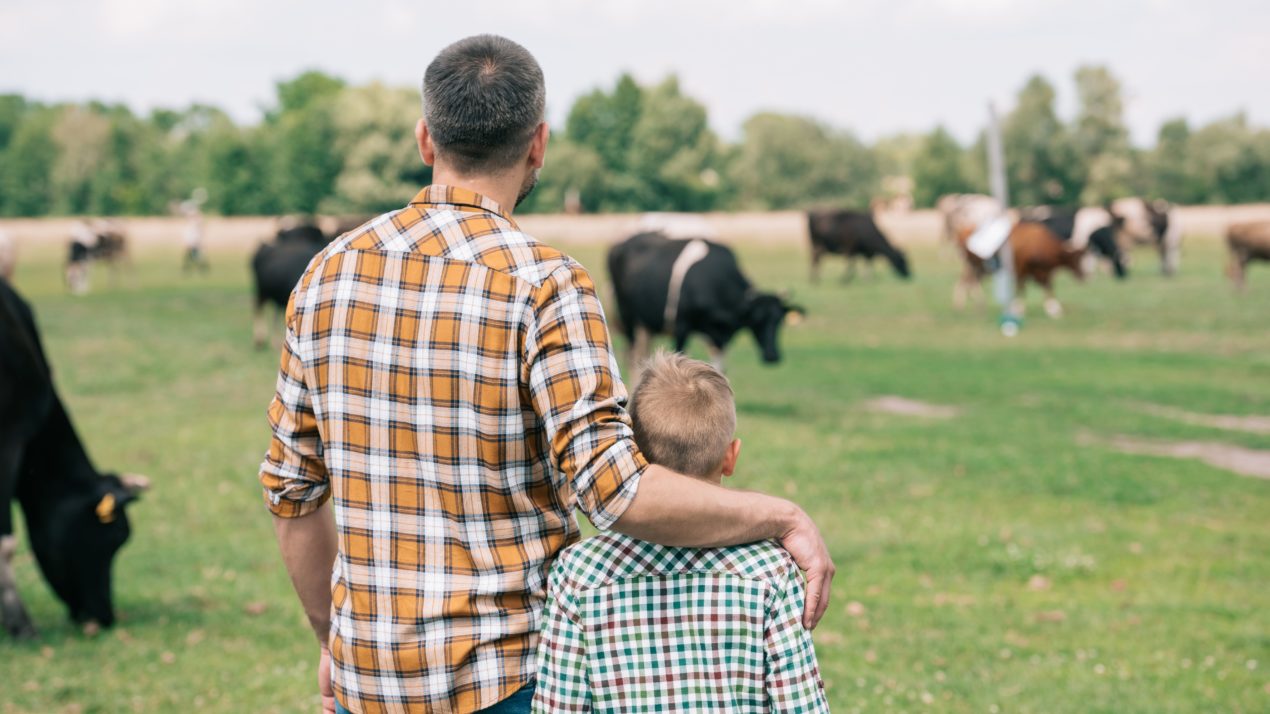 Stress Continues To Mount On Wisconsin Farm Families