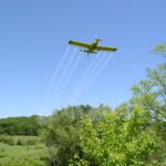 Spongy Moth Aerial Spraying to Begin in May