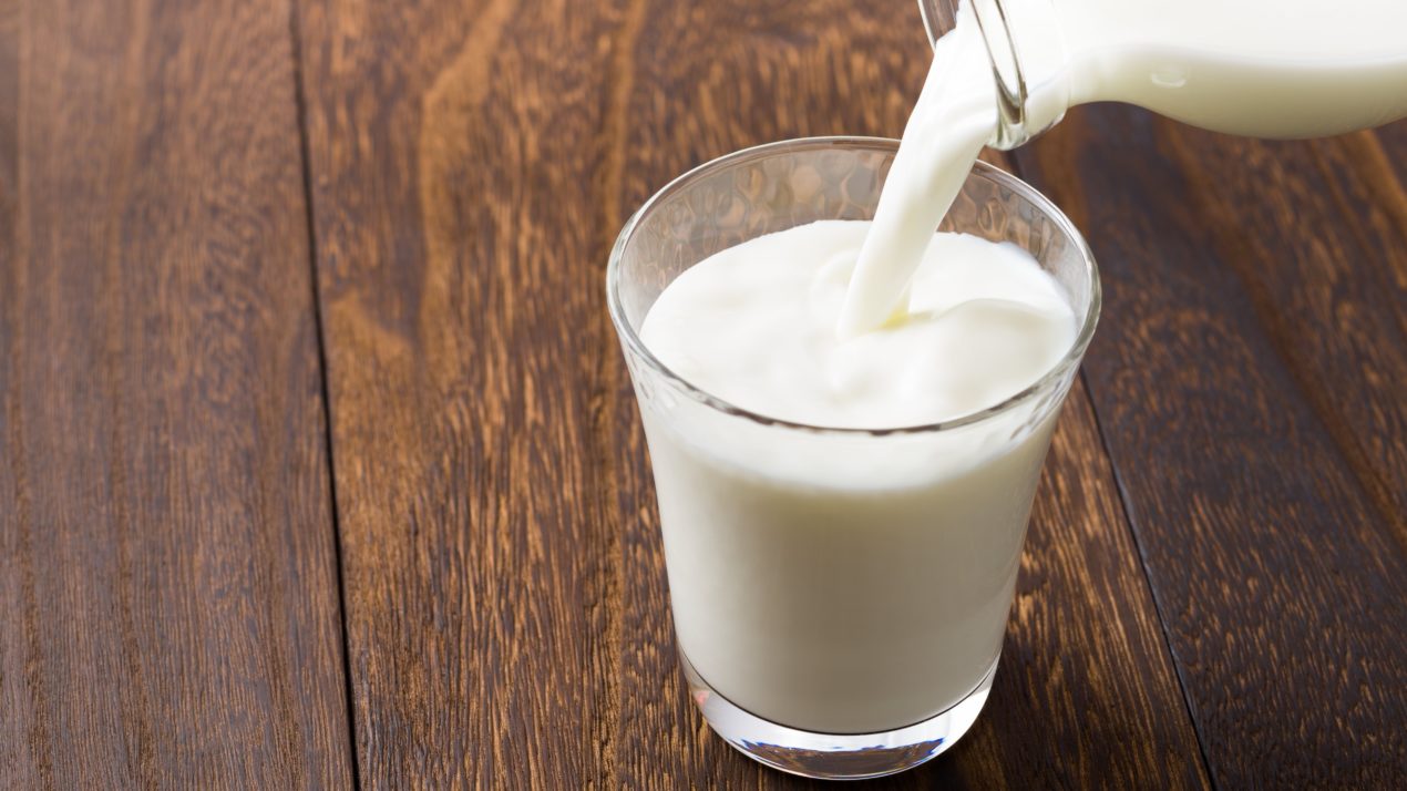 Milk Promotes Bone Health Beyond Providing Calcium