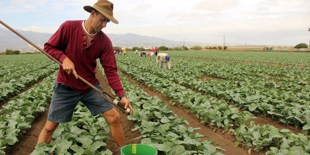 Battling For Labor With Higher Wages