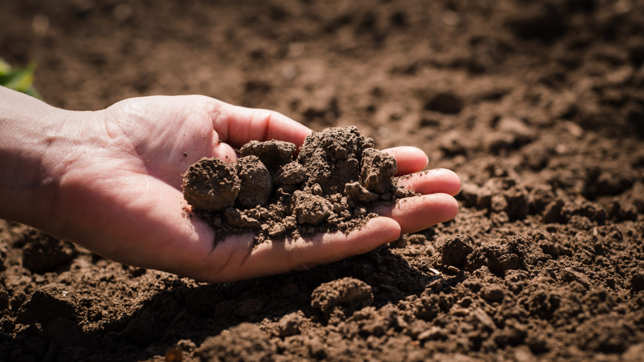 It’s not dirt, it’s soil. And it’s key to farmers’ clean-water efforts.