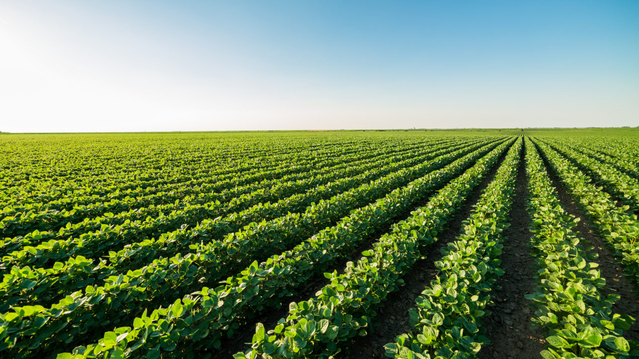 New effort aims to help Midwest farmers plant cover crops on a half a  million acres