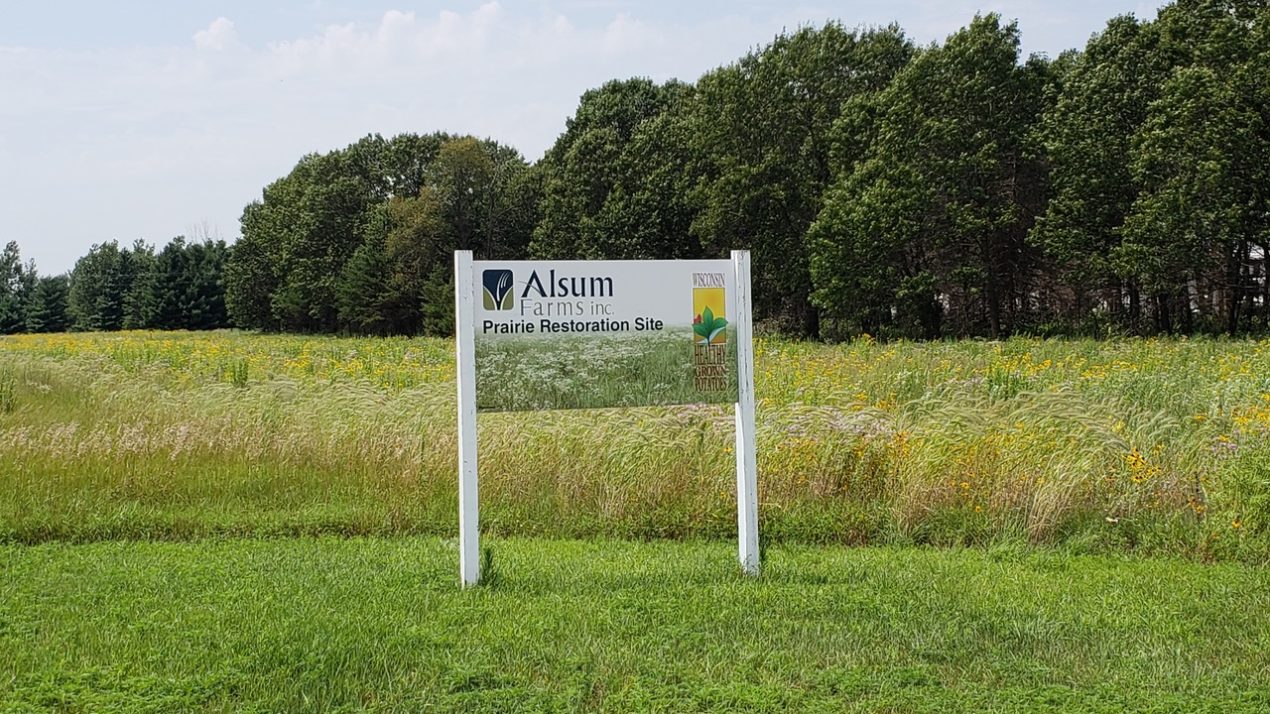 Alsum Produce Plans 50 Year Celebration