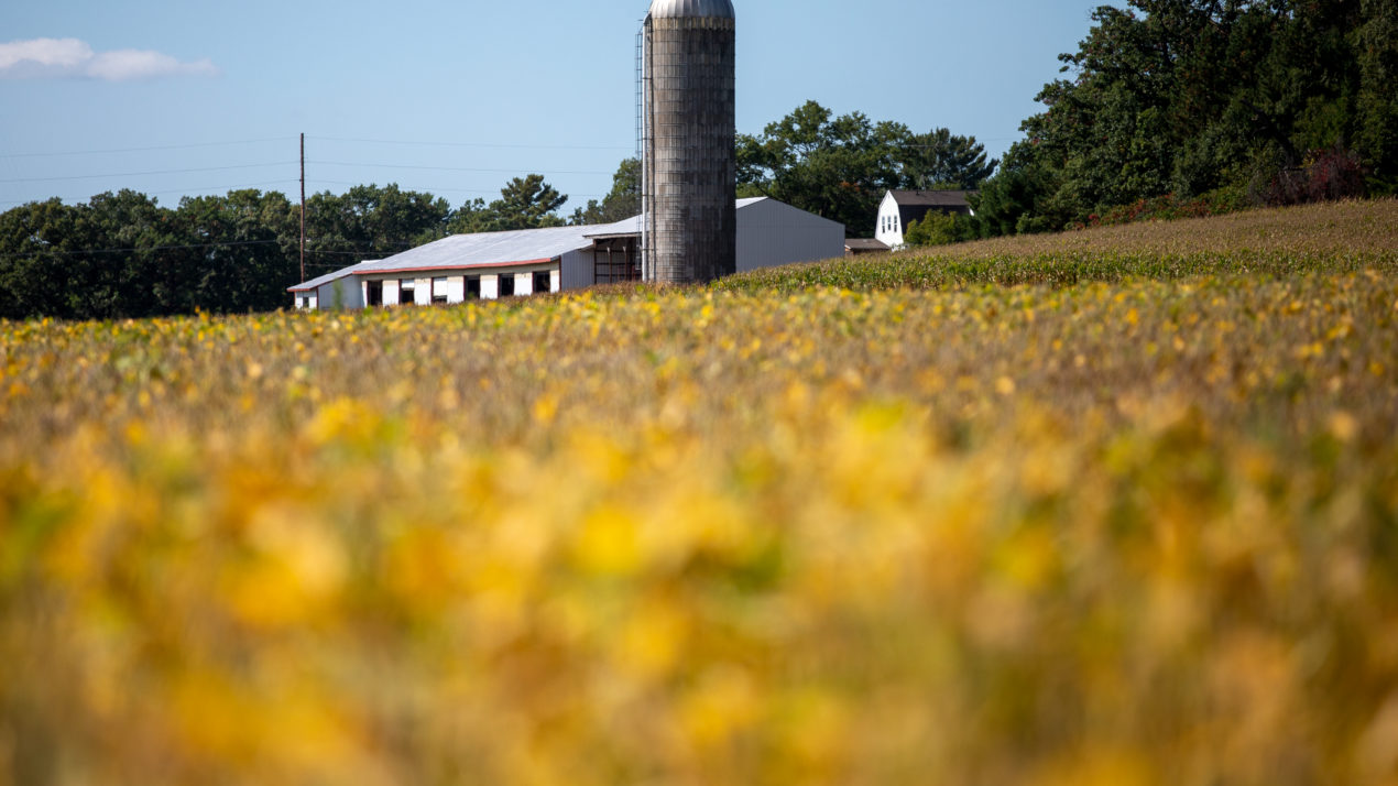 A look at UW–Madison’s Spooner Agricultural Research Station