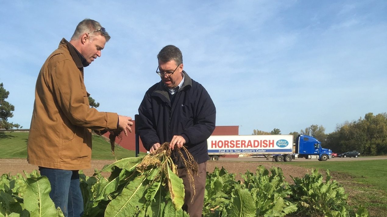 FTD Innovation Square to highlight lesser-known crops