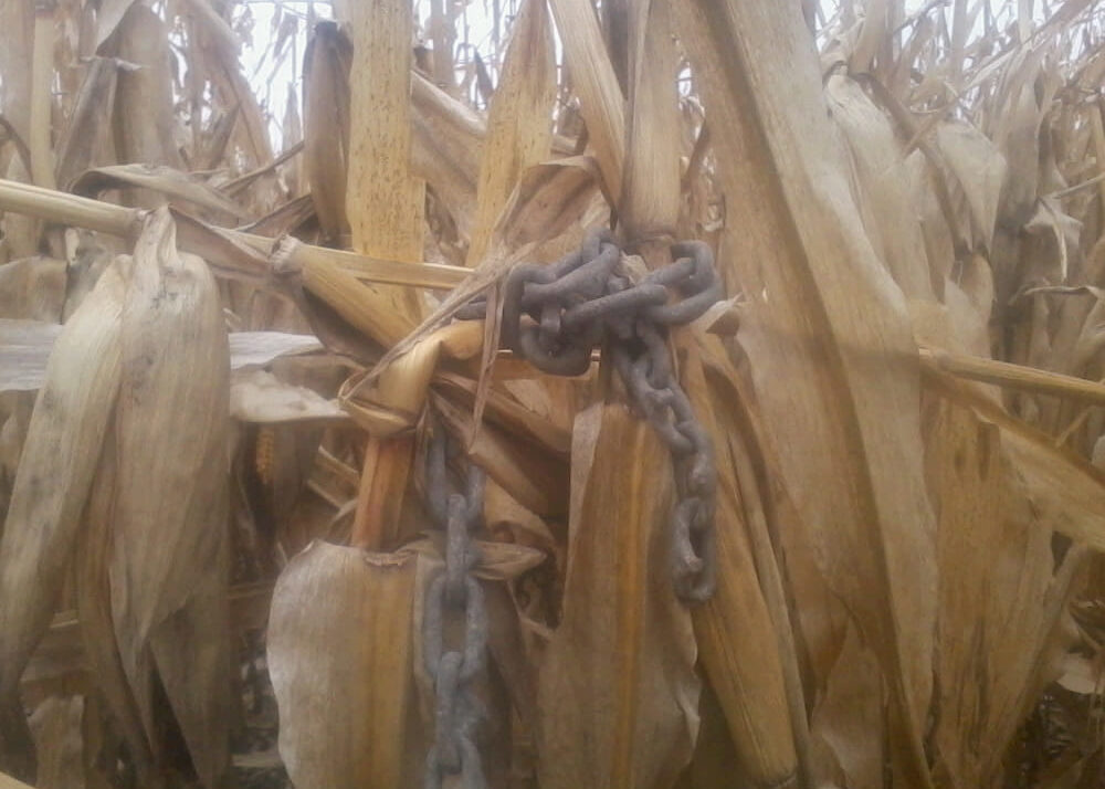 Minnesota farm field vandalized with ‘booby traps’