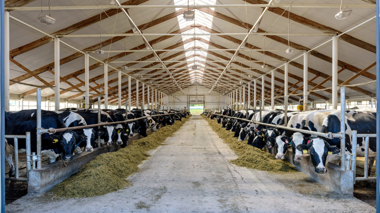 “Wisconsin’s Dairy Industry – Past, Present and Future” Event Set for November 12th