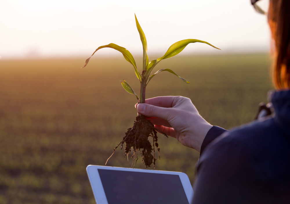 Wisconsin Corn Promotion Board seeks research proposals