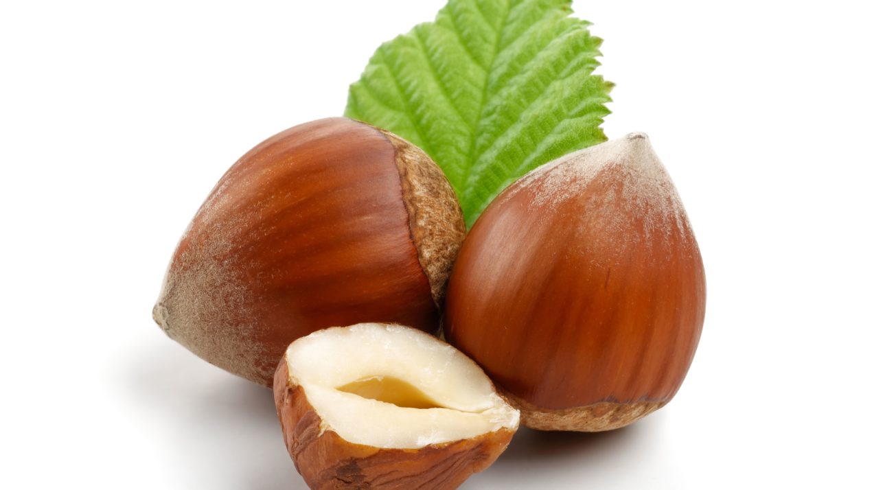 Could Hazelnuts Be An Answer For Wisconsin Farmers?