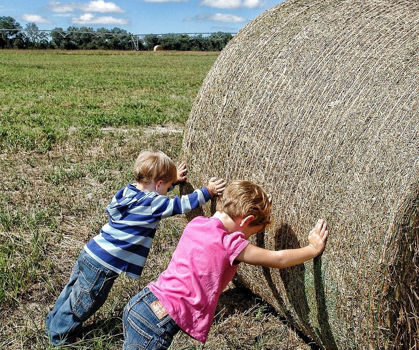 Safety day focuses on mental health in farm children