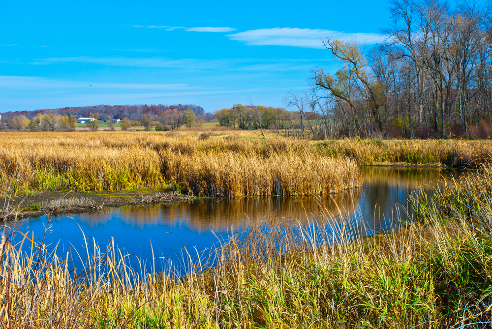 DNR Gets Money To Restore Wetlands