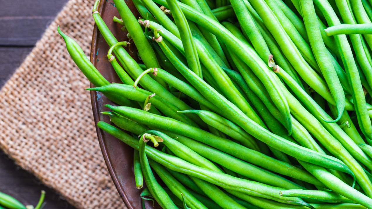 Wisconsin Continues to Lead Nation in Snap Bean Production