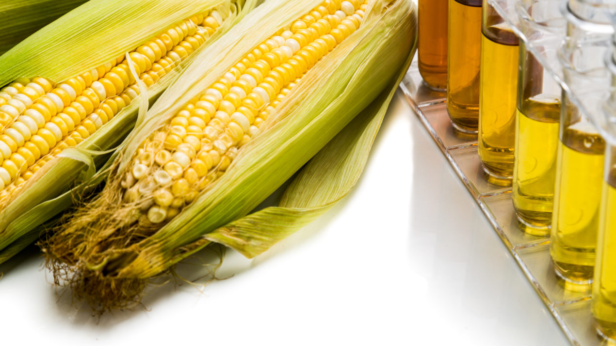 After challenges in 2020, the ethanol industry is hopeful for 2021 markets and opportunities under a new administration