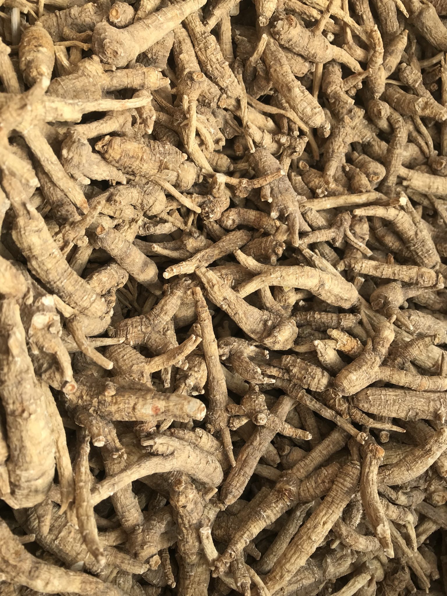 Wisconsin ginseng hurt first by trade, next by Coronavirus MidWest