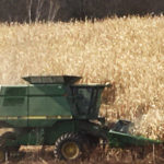 Corn harvest spring 4-2-20